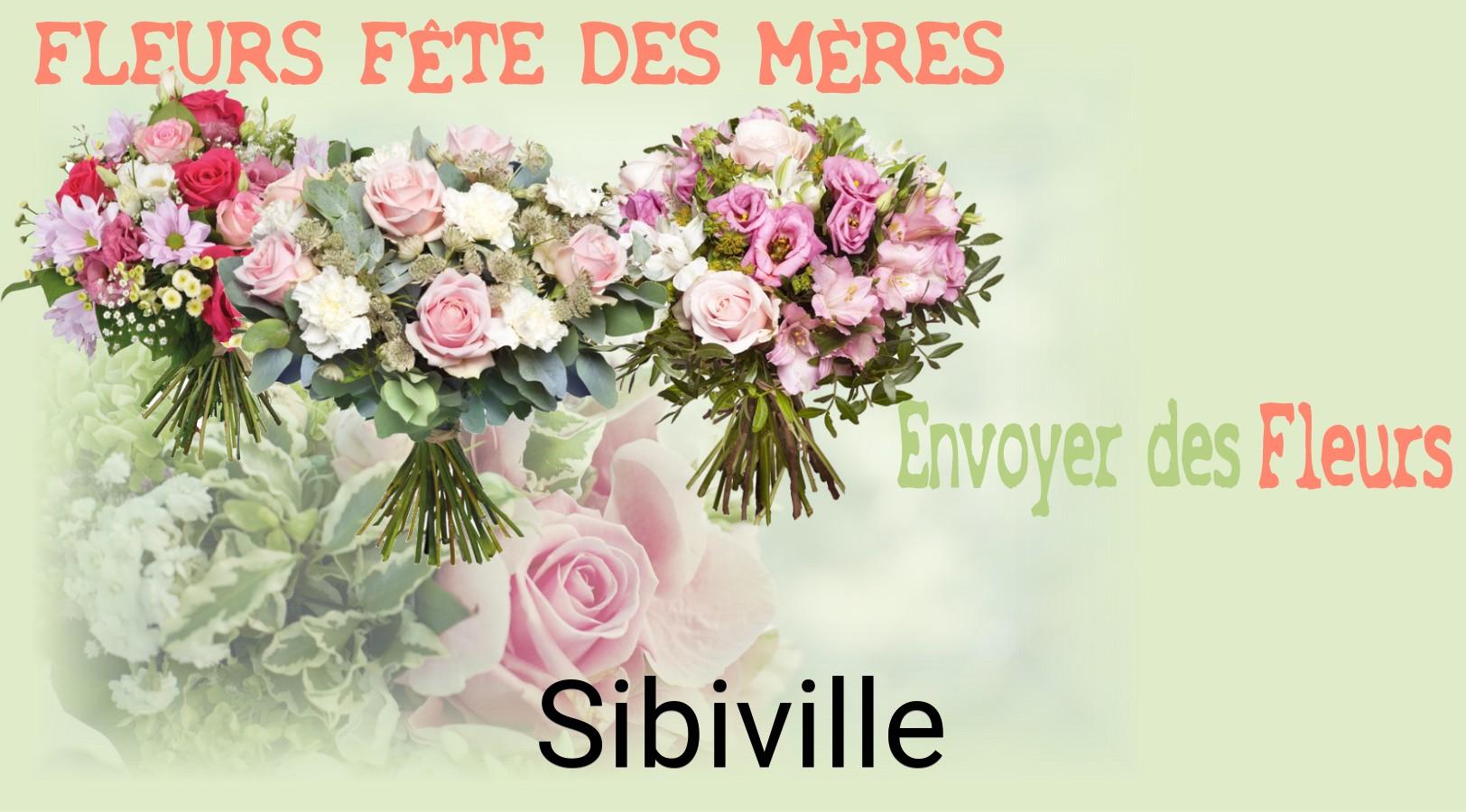 Bouquet de Fête des Mères livré à Sibiville